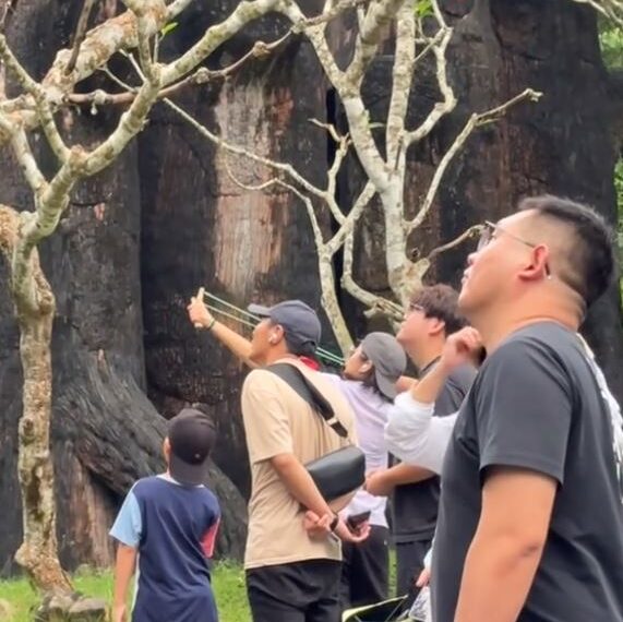 台灣新聞通訊社-中國女遊泰國動物園「拿彈弓射擊」…疑攻擊猴子　園方出手了