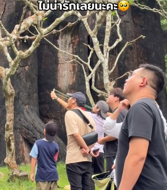 台灣新聞通訊社-中國女遊泰國動物園「拿彈弓射擊」…疑攻擊猴子　園方出手了