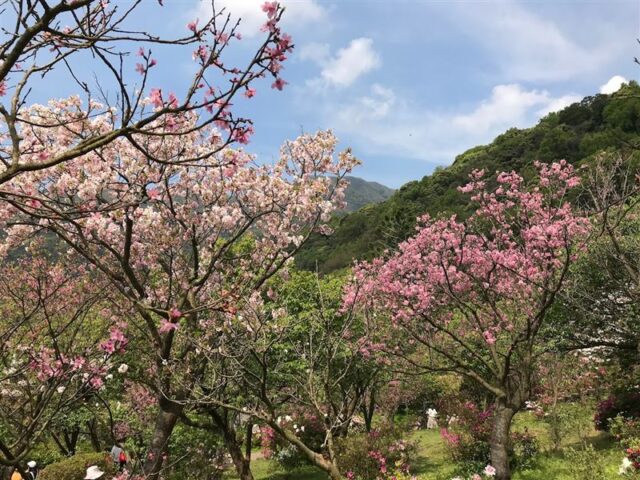 台灣新聞通訊社-不是墾丁、太魯閣！台灣最強國家公園它奪冠　451萬遊客四季都愛去