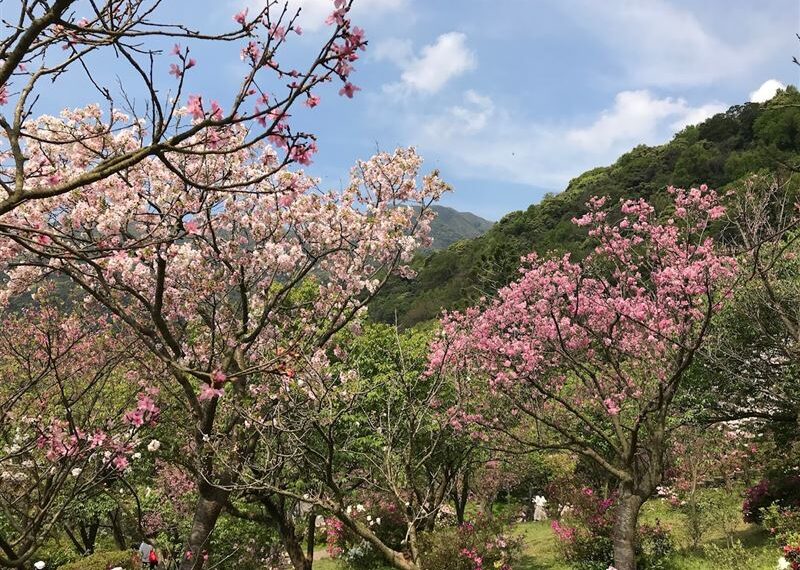 台灣新聞通訊社-不是墾丁、太魯閣！台灣最強國家公園它奪冠　451萬遊客四季都愛去