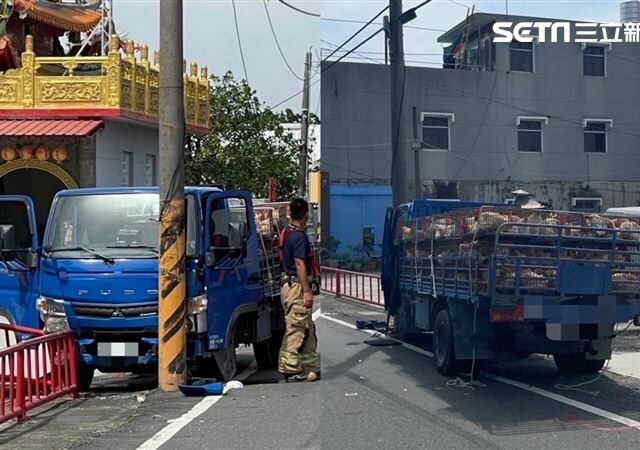 台灣新聞通訊社-台南死亡車禍！關帝廟前「百隻雞集體」撞電桿…牠們生還「他卻斷魂」