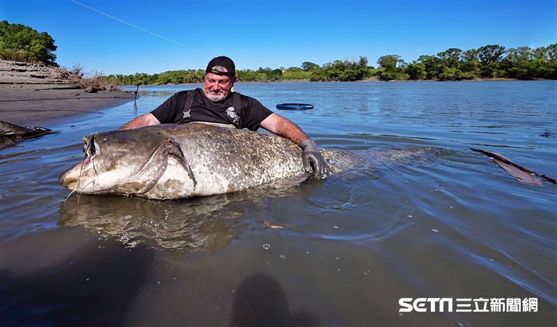 台灣新聞通訊社-獨家／2m長85kg「怪物」曝光！遠赴法國隆河挑戰　台釣手險被牠拉下船