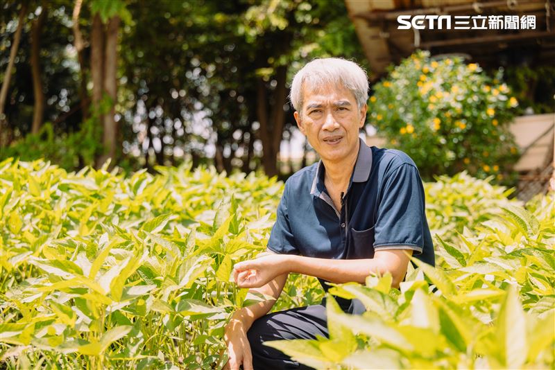 台灣新聞通訊社-別人不種我來種！　黑豆將軍把大豆變子彈　力拚MIT拒「通敵賣國」