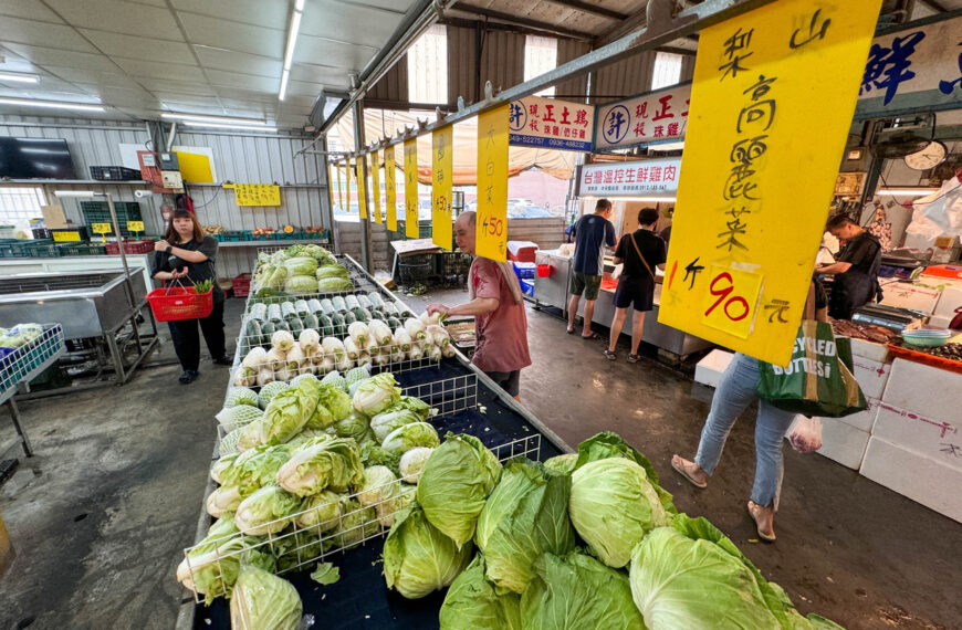 台灣新聞通訊社-高麗菜該怎麼挑？網友一面倒推「這款」：全世界最好吃