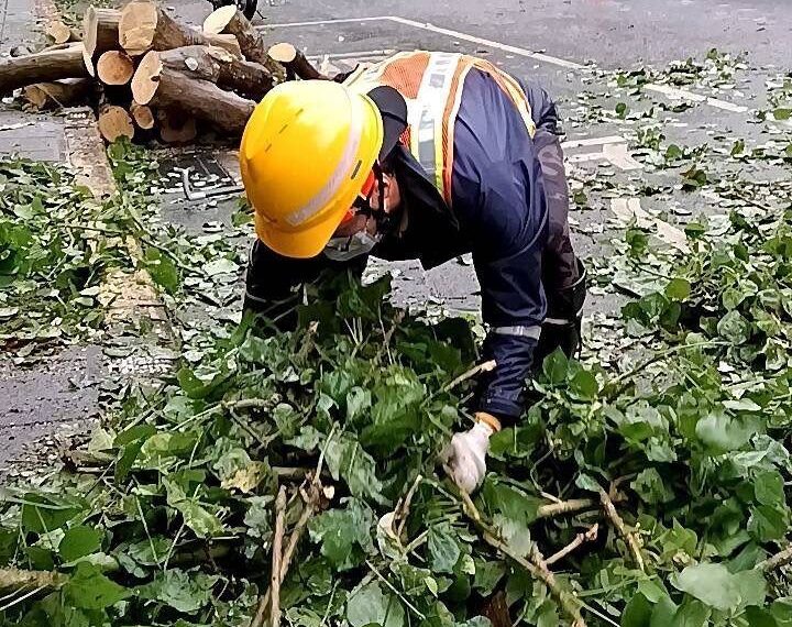 台灣新聞通訊社-北市府跨局處動員　全速復原康芮颱風災損