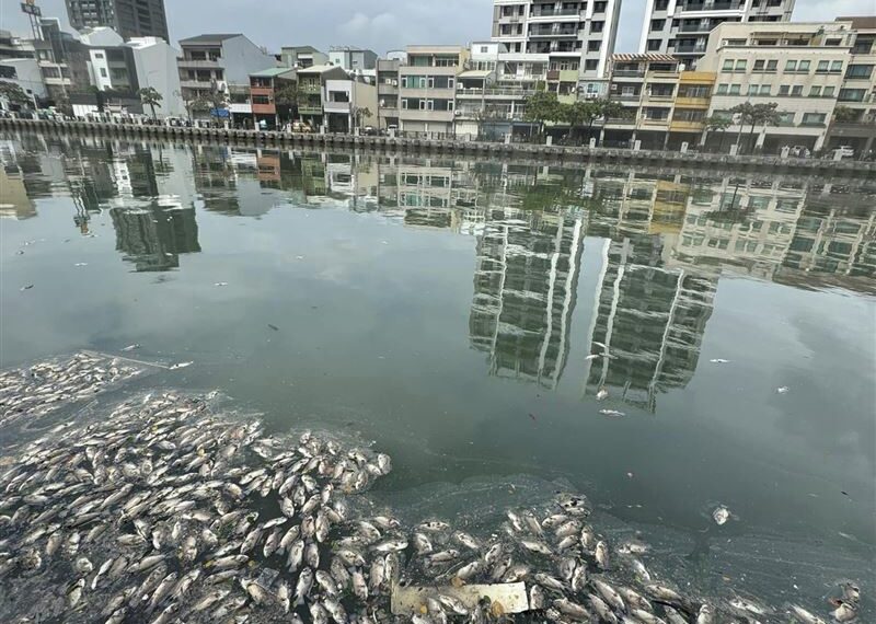 台灣新聞通訊社-康芮颱風釀嚴重死傷！台南運河爆大量「浮屍」飄散惡臭　網：頭皮發麻