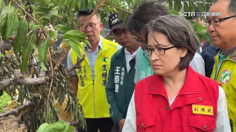 台灣新聞通訊社-面色凝重！蕭美琴赴台東釋迦園勘災　落果樹倒農民心疼