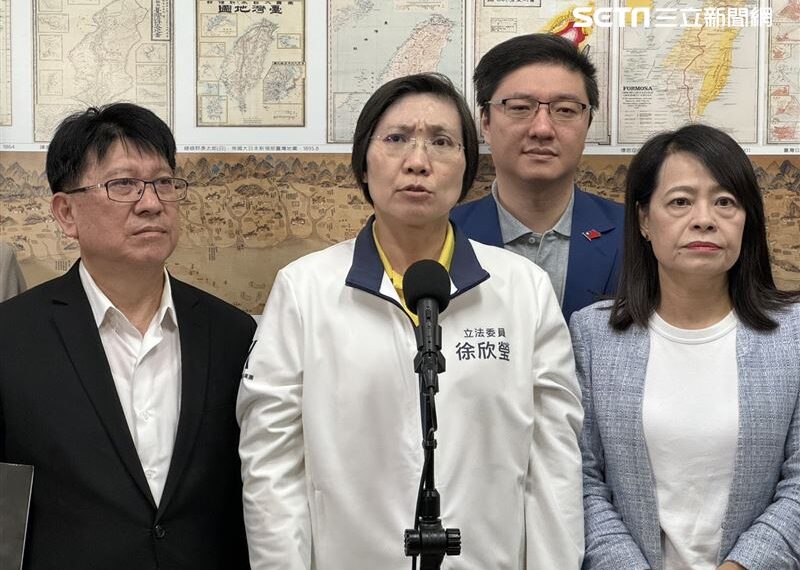 台灣新聞通訊社-為《選罷法》吵翻！民進黨控違法開會　徐欣瑩：麥克風被搶走，宣布休息