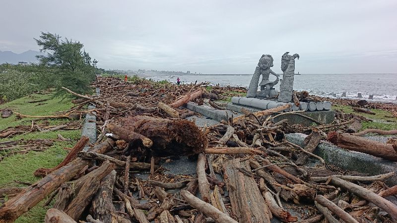 台灣新聞通訊社-花蓮海岸堆1萬3000噸漂流木　民眾聞香來…林保署：未開放撿拾