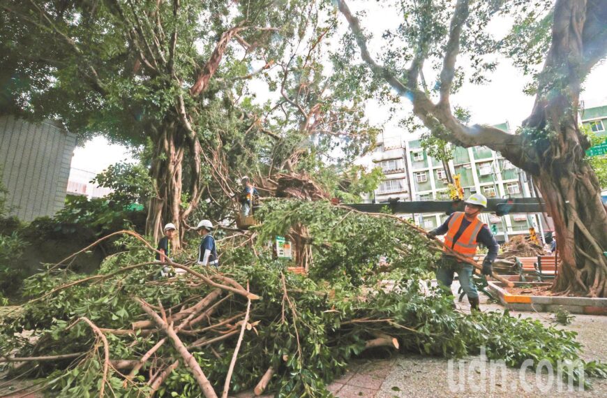 台灣新聞通訊社-做到流汗還被嫌..議員點災情通報無「防呆」有孤兒案件