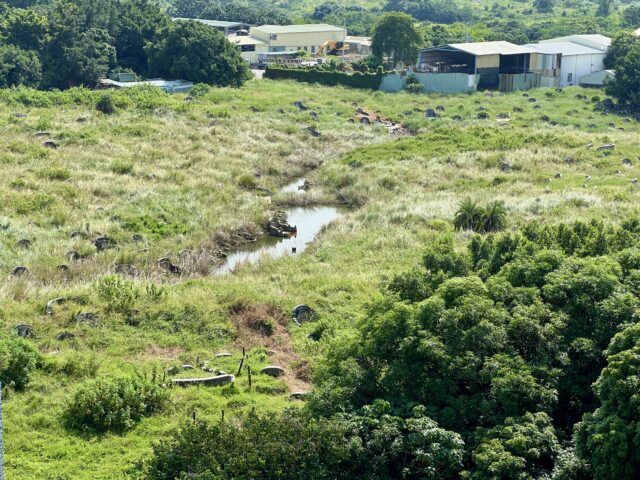 台灣新聞通訊社-推動台南南山公墓為國家墓葬保存園區  守護團隊：只針對國有地