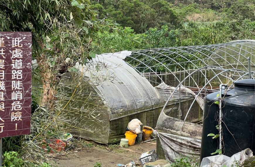 台灣新聞通訊社-康芮強風吹掀網室 三芝有機農場農損慘重