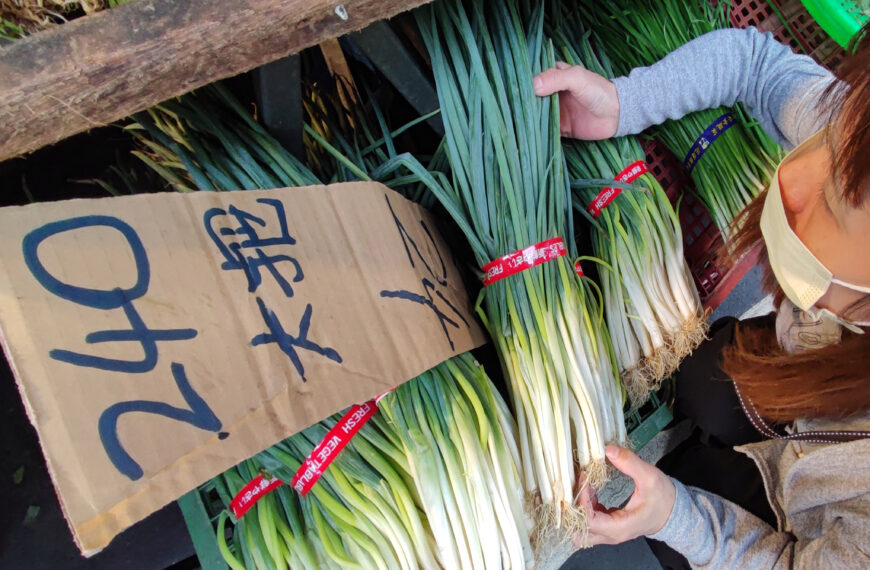 台灣新聞通訊社-康芮警報解除 農業部：葉菜西部產區影響輕微 供應穩定