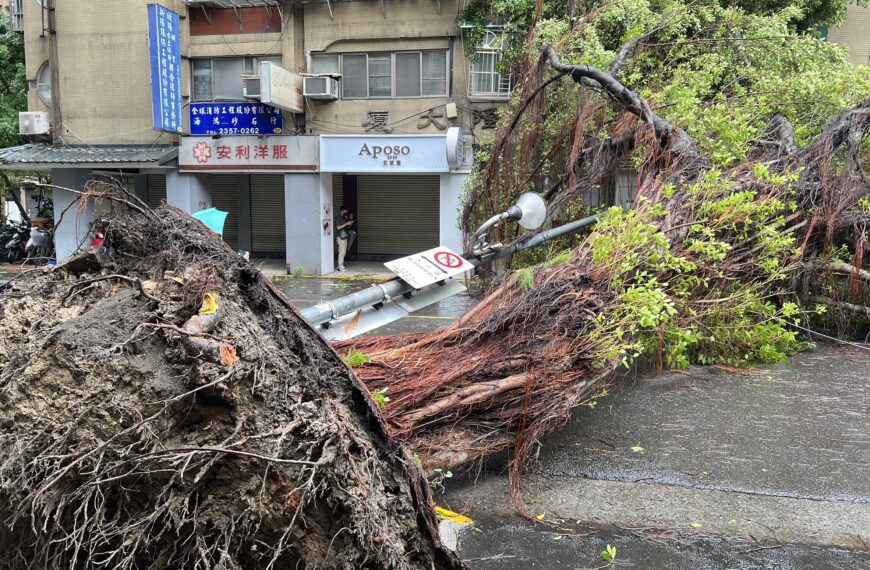 台灣新聞通訊社-北市樹倒一片要上班…蔣萬安被罵翻 卓榮泰：確實路不通