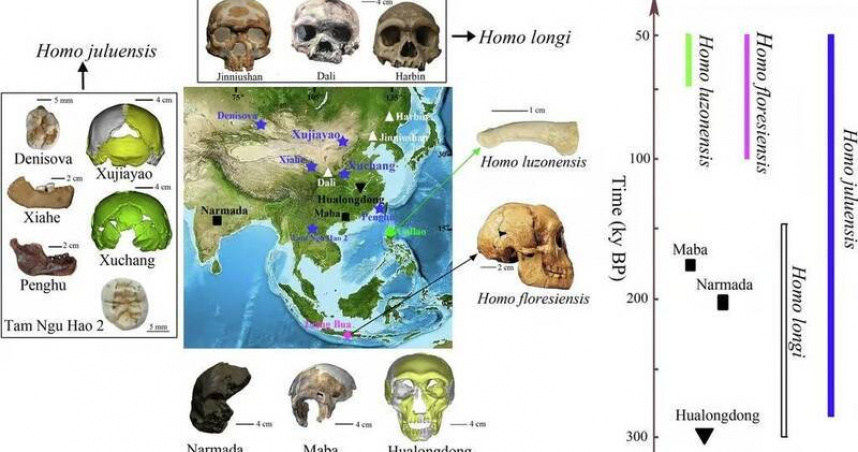 台灣新聞通訊社-人類演化史恐改寫！　中國發現古人類「巨顱人」化石