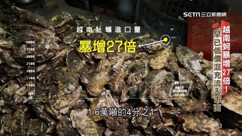 台灣新聞通訊社-新聞深一度／口中的美味不是「台灣蚵」　低價混充流市面