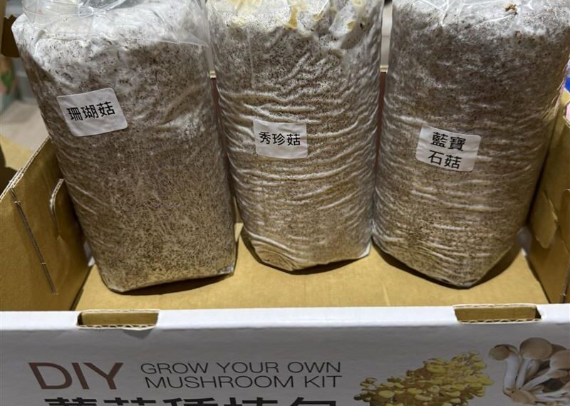 台灣新聞通訊社-好市多新品「DIY種菇」！一票人讚新奇又好吃　過來人揭2缺點