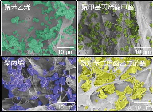 台灣新聞通訊社-水中塑料傷身 陸科研發明海綿能吸附水中99.8%微塑料