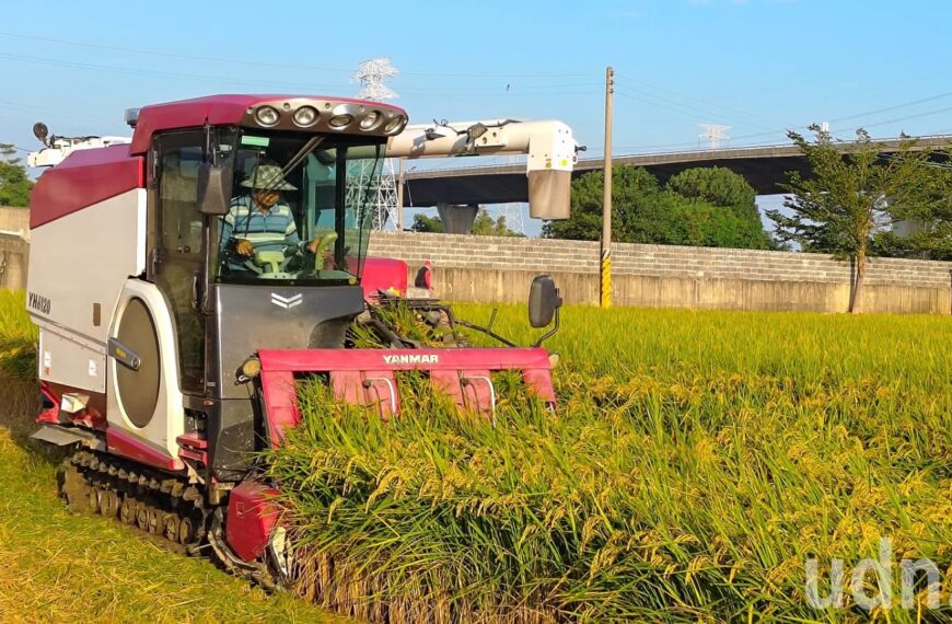 台灣新聞通訊社-台灣穀倉歉收產地收購價創新高 白米零售價漲幅待觀察