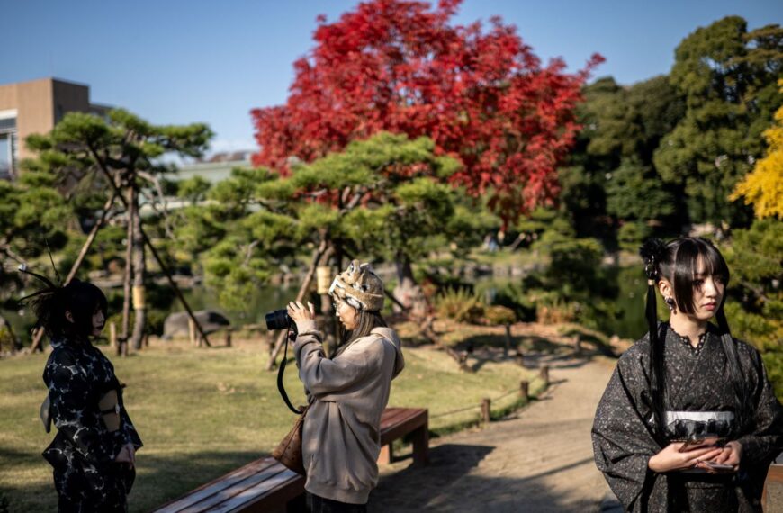 台灣新聞通訊社-日本經歷有紀錄以來最暖秋天 紅葉季延至12月登場