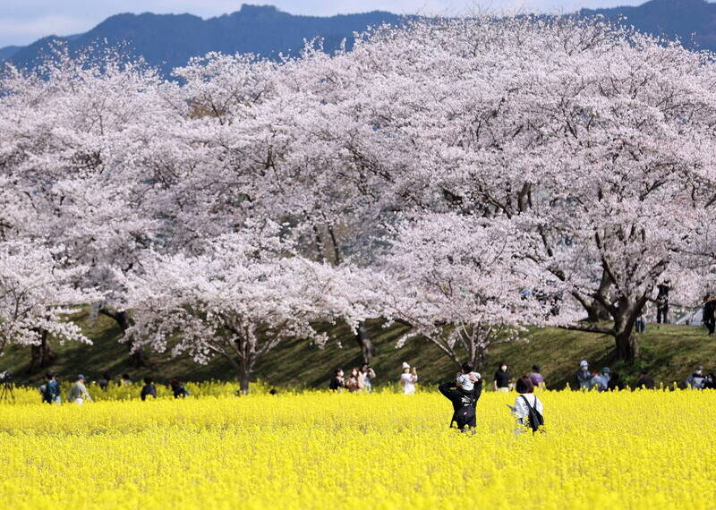 台灣新聞通訊社-CNN盤點2025年最值得旅遊地 日本「這地方」上榜