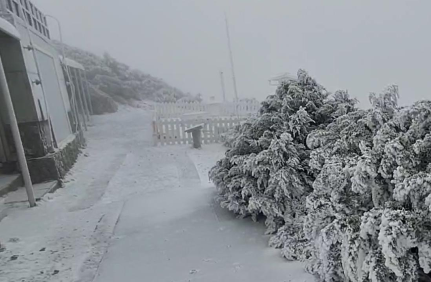 台灣新聞通訊社-冰封玉山！ 上午降雪45分、積雪0.5公分 銀白世界絕美