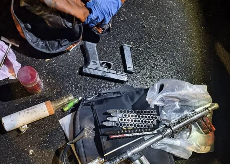 台灣新聞通訊社-石虎遭剝皮淪「野味」百元販售！穿山甲也受害　移工持槍瞄警下場慘了