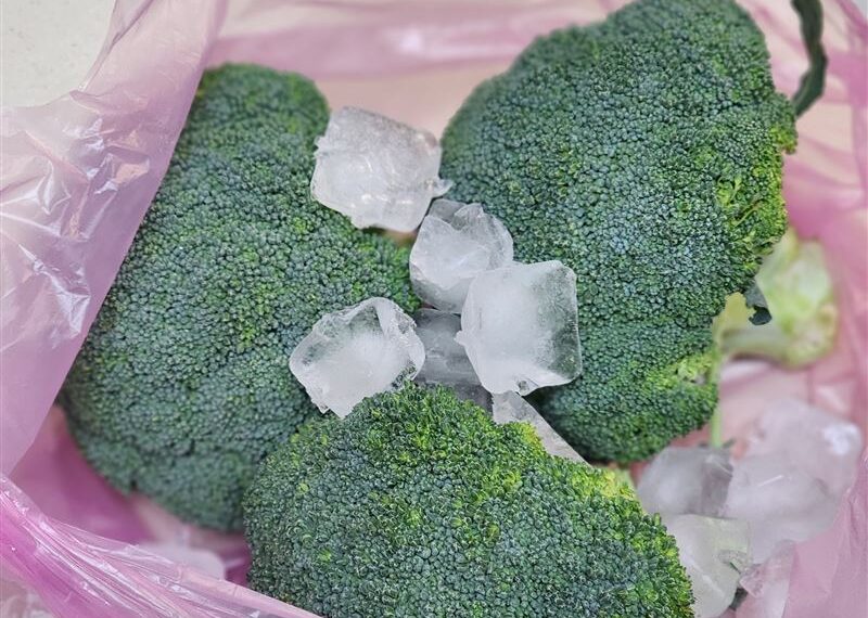 台灣新聞通訊社-不再變黃了!花椰菜「加1物」密封放冷藏「保鮮7天」像剛買 實測結果曝