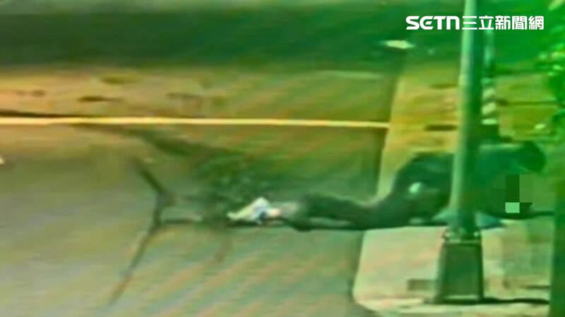 台灣新聞通訊社-2人皆被壓制逮捕！通緝犯遇盤查轉身逃　豬隊友相挺揮拳毆警