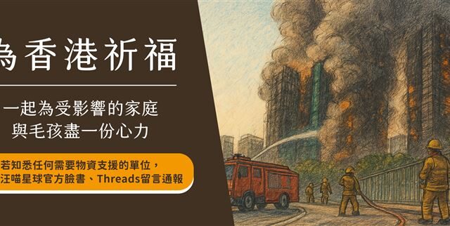 台灣新聞通訊社-守護香港毛孩！台灣品牌汪喵星球啟動宏福苑受災寵物援助行動
