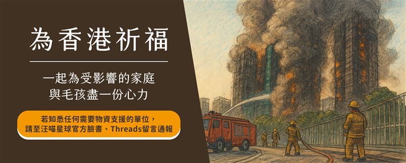 台灣新聞通訊社-守護香港毛孩!台灣品牌汪喵星球啟動宏福苑受災寵物援助行動