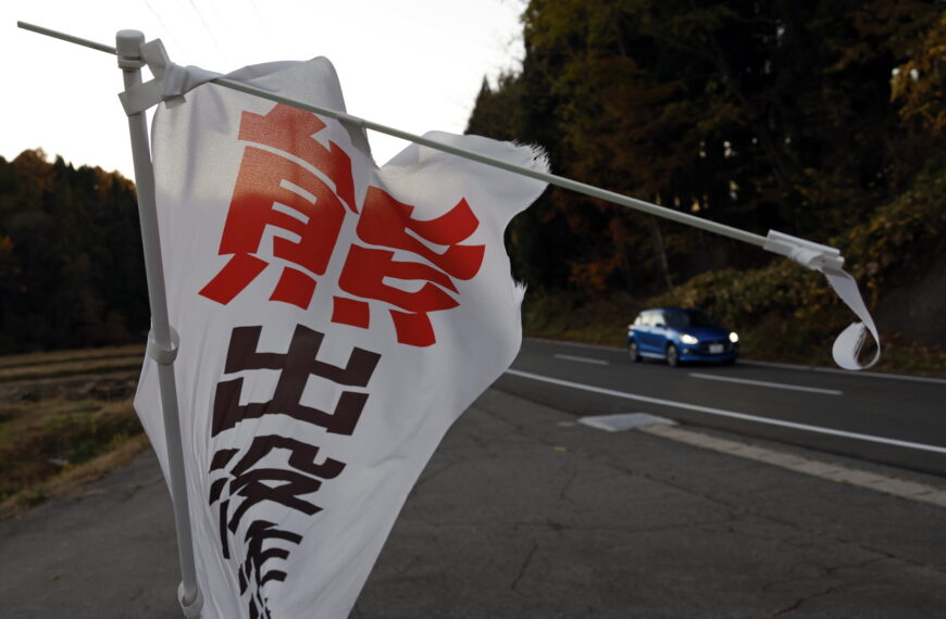 台灣新聞通訊社-熊出沒暴增!日本保險業者首創「熊保險」補償觀光業者損失