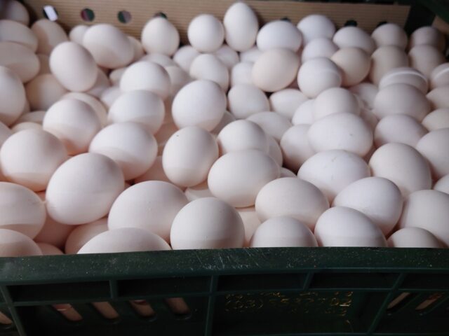 台灣新聞通訊社-食安風暴帶動非籠飼蛋需求 蛋農盼靠品牌突圍