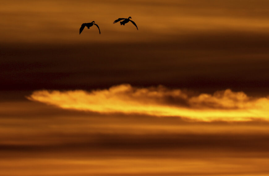 台灣新聞通訊社-一天中這時段最容易察覺失智！專家：5大徵兆要注意