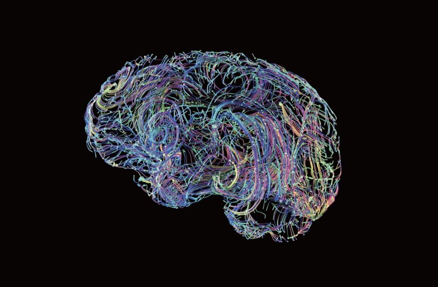 台灣新聞通訊社-科學人/從生活到大腦:行為介入與生物指標在失智預防的角色