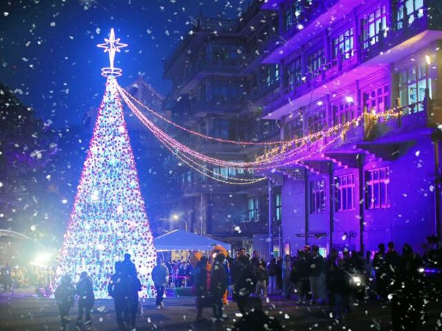 台灣新聞通訊社-文化大學百花池點亮15米巨型聖誕樹　師生共享冬夜最浪漫盛事