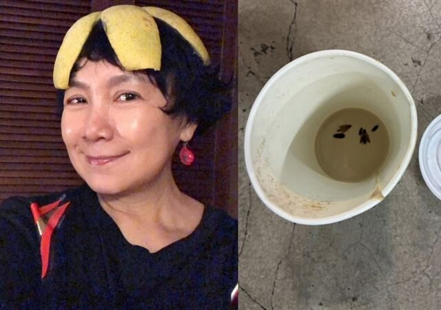 台灣新聞通訊社-誤食螞蟻或小強怎辦？醫勸快喝「1飲品」解救胃：24小時內是關鍵