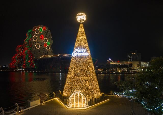 台灣新聞通訊社-港灣絕美聖誕樹「金勾TREE」亮相　破萬網友搶先點讚：高雄每天都有驚喜