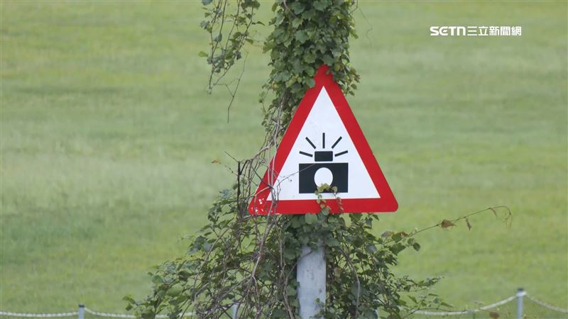 台灣新聞通訊社-台灣測速密度超標「六都+國道1年開2125萬罰單」是駕駛問題還是制度錯？