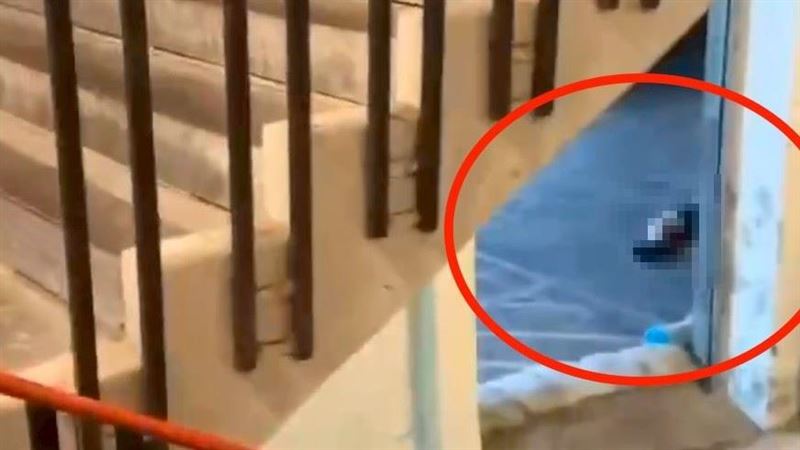 台灣新聞通訊社-張文畏罪墜樓？犯罪學家揭「精密佈局」　曝1關鍵：死亡是意外