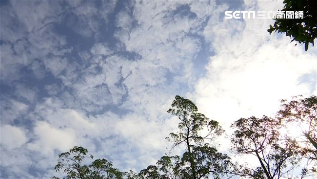 台灣新聞通訊社-把握週末回暖！這天再迎強冷空氣　氣溫狂跌恐剩10度