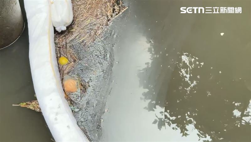 台灣新聞通訊社-新北汐止油污染補助收件到31日 換濾心最高千元