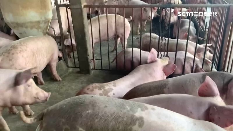 台灣新聞通訊社-2027年全面禁廚餘養豬!環境部祭4規劃 年底前加裝即時監控