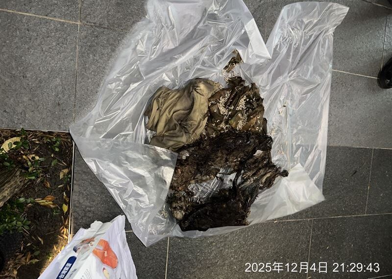 台灣新聞通訊社-信義區28歲女「虐死14隻貓！」鄰居倒垃圾聞到屍臭　焚化場找回屍體