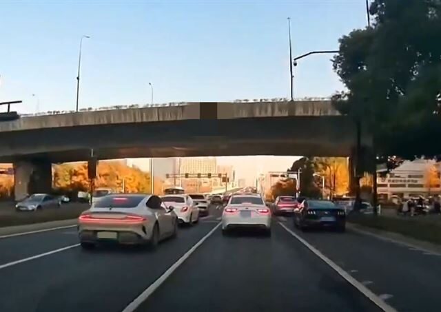 台灣新聞通訊社-母天橋拋幼女「自己也跳下」！駕駛全嚇壞　驚悚畫面曝光