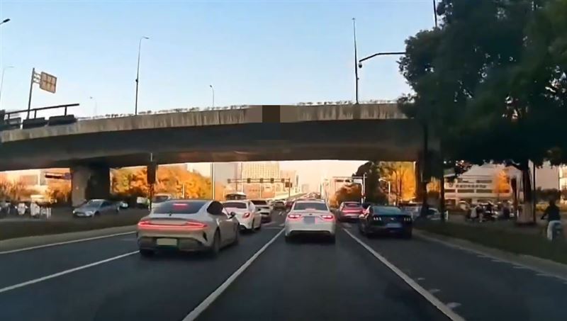 台灣新聞通訊社-母天橋拋幼女「自己也跳下」！駕駛全嚇壞　驚悚畫面曝光