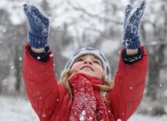 台灣新聞通訊社-冬至後「3生肖」準備接好運！貴人敲門、驚喜不斷　連走路都有錢撿