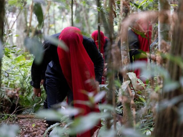 台灣新聞通訊社-臺中市立美術館開館展「萬物的邀約」公眾活動登場