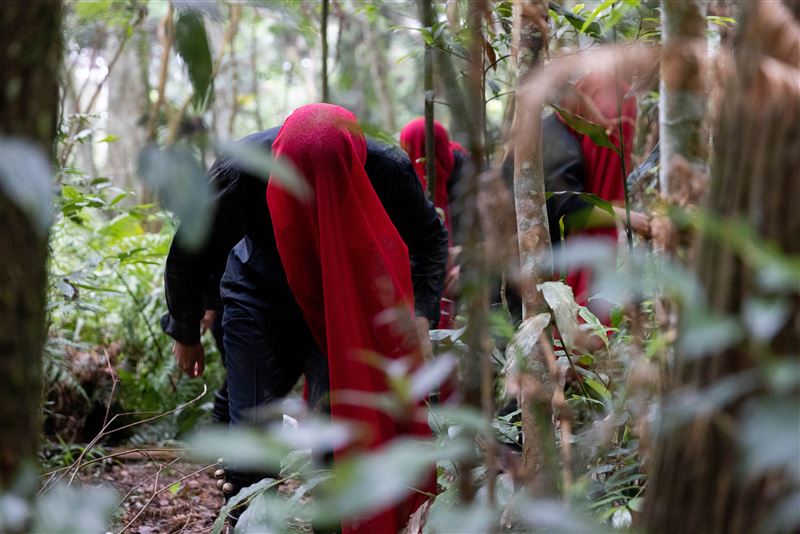 台灣新聞通訊社-臺中市立美術館開館展「萬物的邀約」公眾活動登場