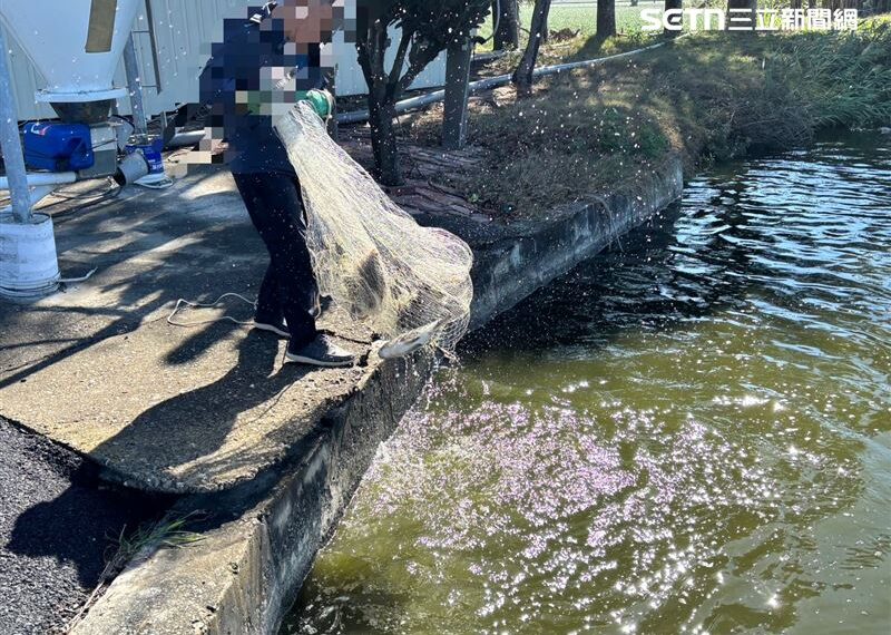 台灣新聞通訊社-新／全聯鯛魚藥檢超標來自雲林東勢　縣府稽查結果曝光：未檢出